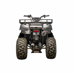 Квадроцикл YACOTA SELA 200, фото 4 Квадроцикл YACOTA SELA 200, фото 4