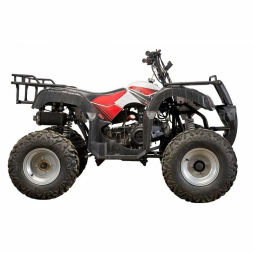 Квадроцикл YACOTA SELA 200, фото 3 Квадроцикл YACOTA SELA 200, фото 3