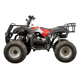 Квадроцикл YACOTA SELA 200, фото 2 Квадроцикл YACOTA SELA 200, фото 2