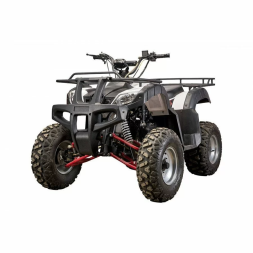 Квадроцикл YACOTA SELA 200, фото 1 Квадроцикл YACOTA SELA 200, фото 1