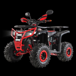 Бензиновый квадроцикл WHITE SIBERIA BARS L 200, фото 1