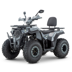 Квадроцикл YACOTA VIKING 200, фото 1 Квадроцикл YACOTA VIKING 200, фото 1