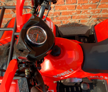 Квадроцикл MOWGLI Bold 8+