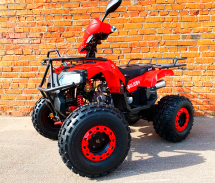 Квадроцикл MOWGLI Bold 8+