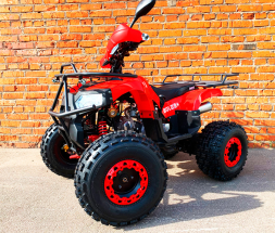 Квадроцикл MOWGLI Bold 8+, фото 1