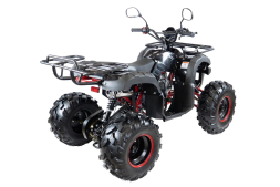 Квадроцикл MOTAX ATV Grizlik 7 110 cc, фото 10