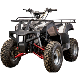 Подростковый квадроцикл YACOTA SELA 150, фото 1 Подростковый квадроцикл YACOTA SELA 150, фото 1