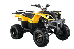 Квадроцикл ABM Apache 150 Basic, фото 3 Квадроцикл ABM Apache 150 Basic, фото 3