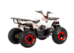 Квадроцикл MOTOLAND 125 Wild, фото 4