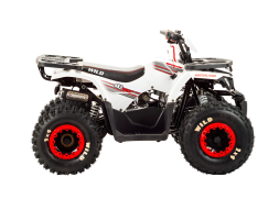 Квадроцикл MOTOLAND 125 Wild, фото 3