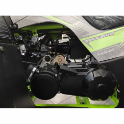 Квадроцикл YACOTA SELA 200 MAX, фото 19 Квадроцикл YACOTA SELA 200 MAX, фото 19