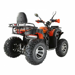 Квадроцикл YACOTA SELA 200 MAX, фото 3 Квадроцикл YACOTA SELA 200 MAX, фото 3