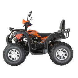 Квадроцикл YACOTA SELA 200 MAX, фото 2 Квадроцикл YACOTA SELA 200 MAX, фото 2