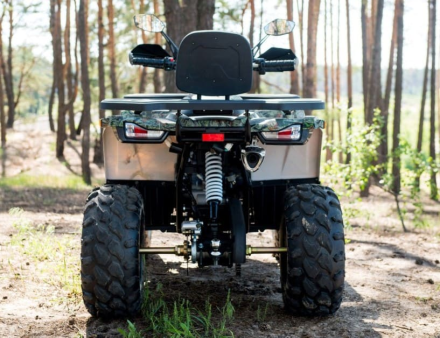 Квадроцикл YAMAHA Shark 300cc, фото 14