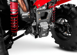 Квадроцикл SHARMAX Spyder 1100, фото 10