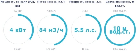 Насос с префильтром Saci Pumps Magnus-4 84м3/ч 380В, фото 2