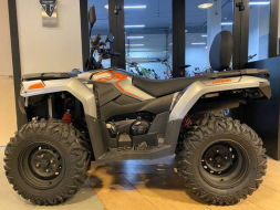Квадроцикл LONCIN Xwolf 300 MAX, фото 3