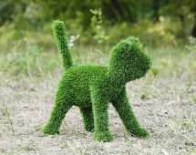 Топиари кошка Малышка - газон Eco