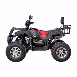 Квадроцикл YACOTA SELA 200 PRO, фото 4 Квадроцикл YACOTA SELA 200 PRO, фото 4