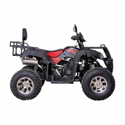 Квадроцикл YACOTA SELA 200 PRO, фото 3 Квадроцикл YACOTA SELA 200 PRO, фото 3