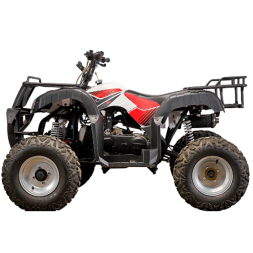 Подростковый квадроцикл YACOTA SELA 200, фото 3 Подростковый квадроцикл YACOTA SELA 200, фото 3