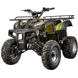 Подростковый квадроцикл YACOTA SELA 200, фото 1 Подростковый квадроцикл YACOTA SELA 200, фото 1