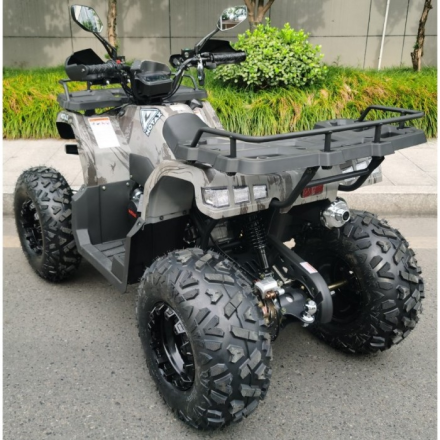 Квадроцикл Motax ATV Grizlik T 200, фото 8