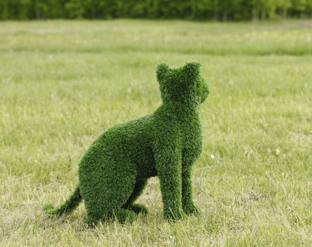 Топиари кошка Клара - газон Eco, фото 3