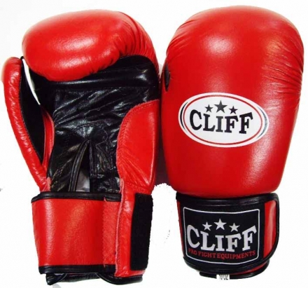 Перчатки бокс F.TECH (кожа) 10 oz красные, фото 1