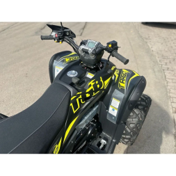 Квадроцикл TGB Target 600 EPS, фото 18