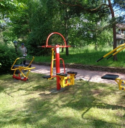 Степ и маятниковый тренажер ТОС-0226 , фото 2