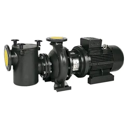 Насос с префильтром Saci Pumps CF-4 1000, фото 1