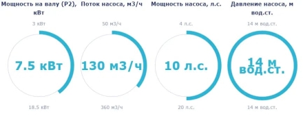 Насос с префильтром Saci Pumps CF-4 1000, фото 2