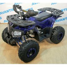 Квадроцикл Avantis NEO 8