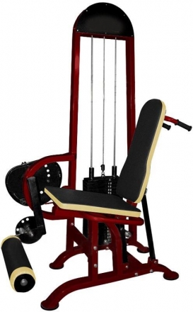 Квадрицепс + бицепс бедра (100 кг) ТГ-0130-C, фото 3