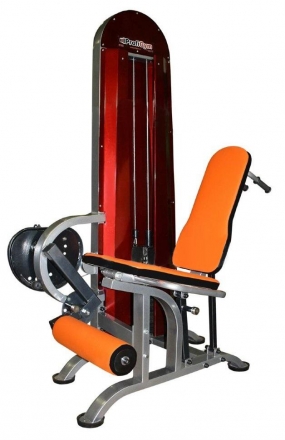 Квадрицепс + бицепс бедра (100 кг) ТГ-0130-C, фото 4