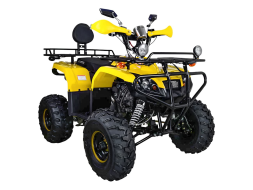 Квадроцикл AVANTIS Patriot Lux, фото 7