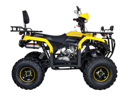 Квадроцикл AVANTIS Patriot Lux, фото 6