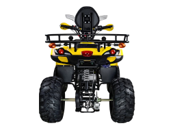 Квадроцикл AVANTIS Patriot Lux, фото 4