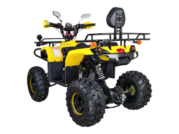 Квадроцикл AVANTIS Patriot Lux, фото 3