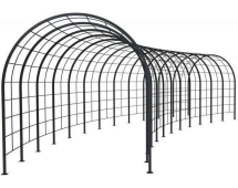 Арка Толлан