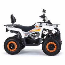 Квадроцикл MOTAX ATV Grizlik 200 Ultra