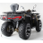 Квадроцикл Motax Grizlik 300