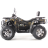 Квадроцикл Motax Grizlik 300