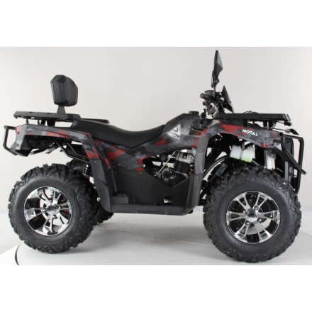 Квадроцикл Motax Grizlik 300, фото 3