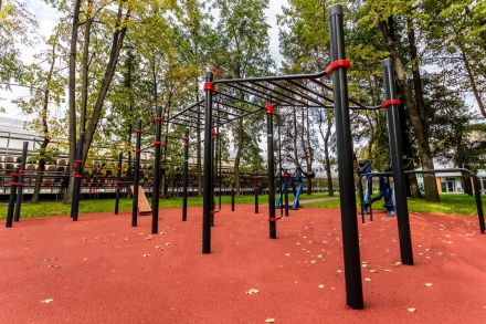 Двухсекционный рукоход и турники, фото 2