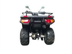 Квадроцикл RATO RT250ST Premium, фото 3 Квадроцикл RATO RT250ST Premium, фото 3