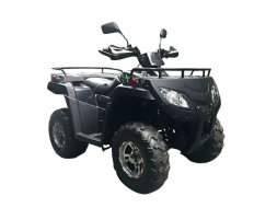 Квадроцикл RATO RT250ST Premium, фото 2 Квадроцикл RATO RT250ST Premium, фото 2