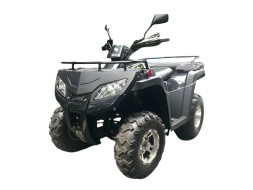 Квадроцикл RATO RT250ST Premium, фото 1 Квадроцикл RATO RT250ST Premium, фото 1