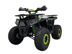 Квадроцикл AVANTIS Optima 8+, фото 6